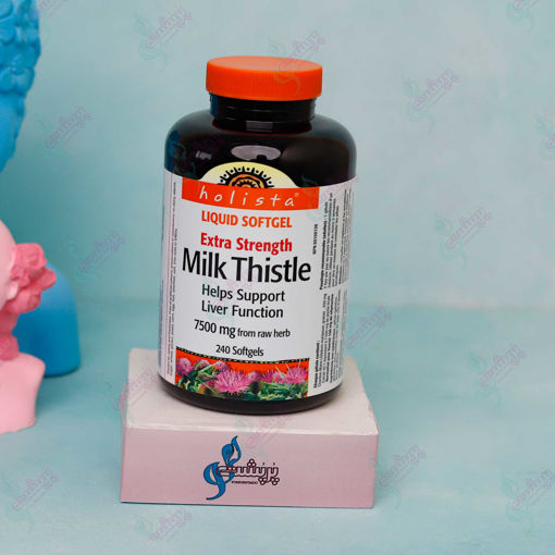 مکمل بازسازی کبد چرب Milk Thistle هولیستا